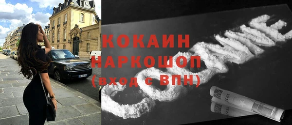 гидра Богородицк