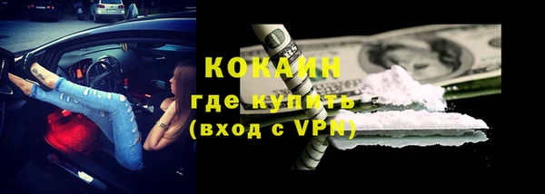 гидра Богородицк