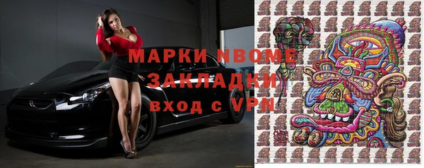 гидра Богородицк