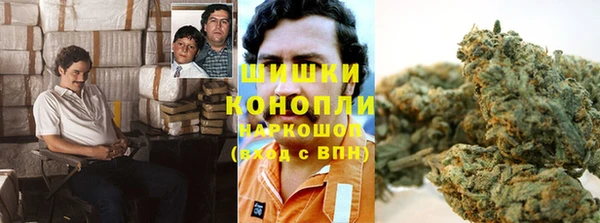 гидра Богородицк