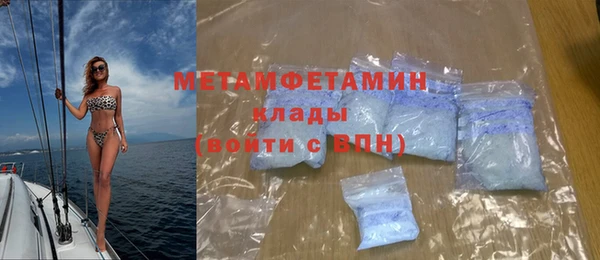 гидра Богородицк