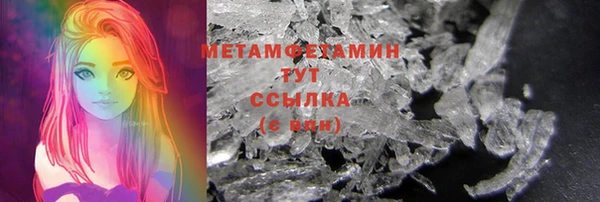 гидра Богородицк