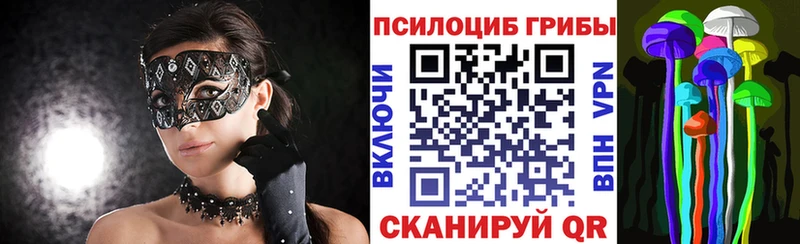 хочу   Мостовской  Псилоцибиновые грибы MAGIC MUSHROOMS 