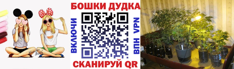 МАРИХУАНА конопля  сколько стоит  Мостовской 